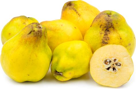 quince in spanish.